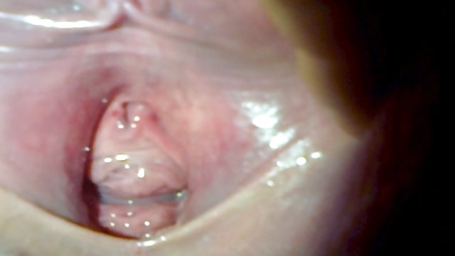 视同性恋床的女性